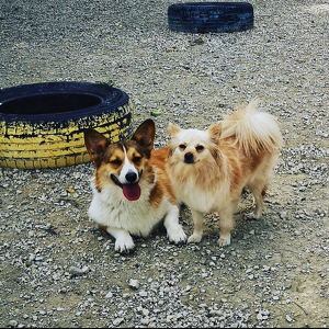 Kimberly/Kerner Frobisher/Pieterse